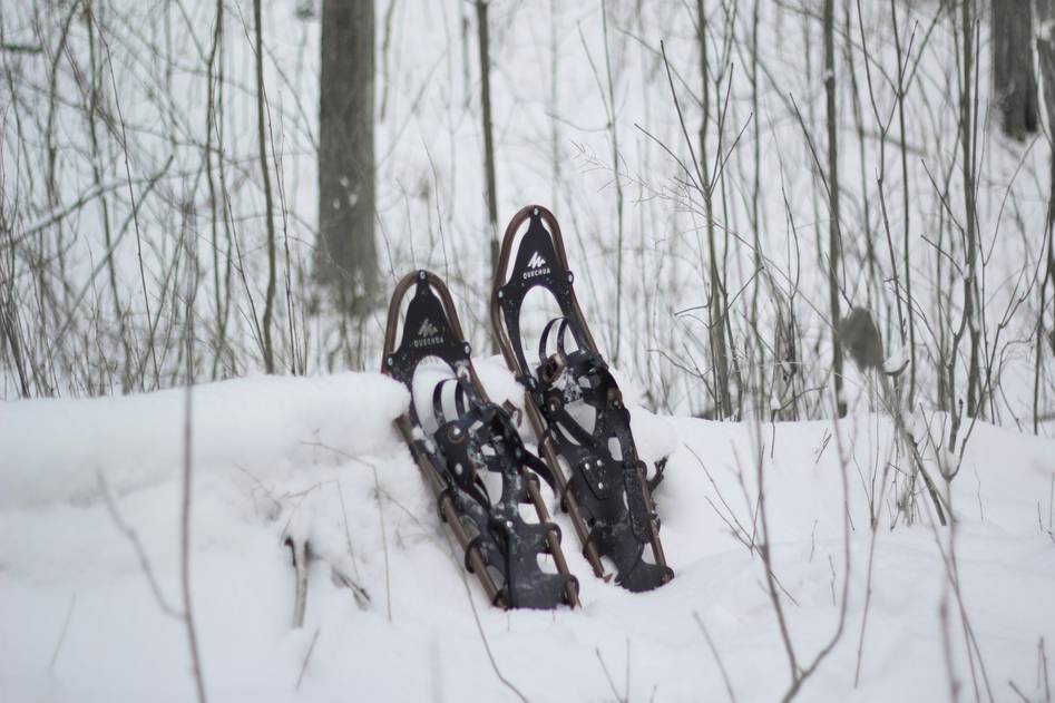 Homepage for Travel Tourism & Activities snowshoeing tours