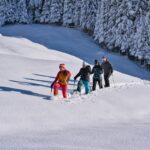 How to Find the Perfect Winter Snowshoe Route (Without Freezing Your Toes Off)