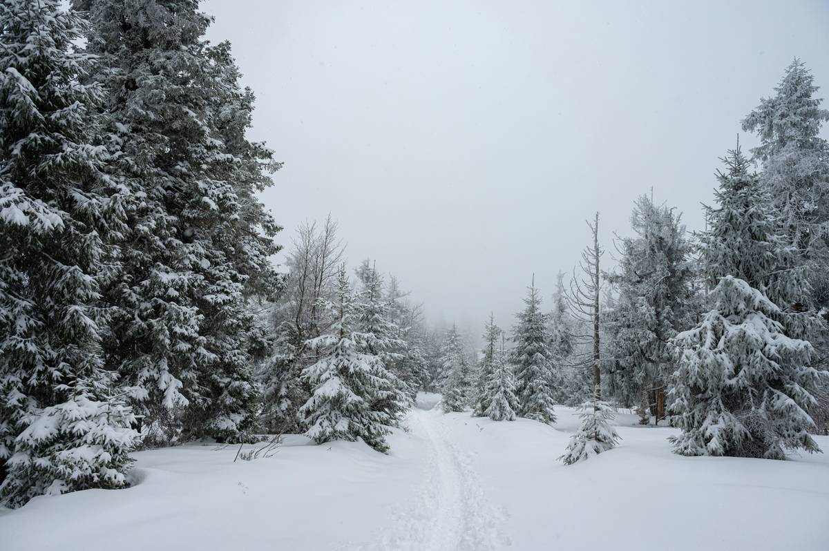 Infographic comparing summer vs winter trail difficulty factors including avalanche terrain, snow depth, wind exposure, and trail breaking effort