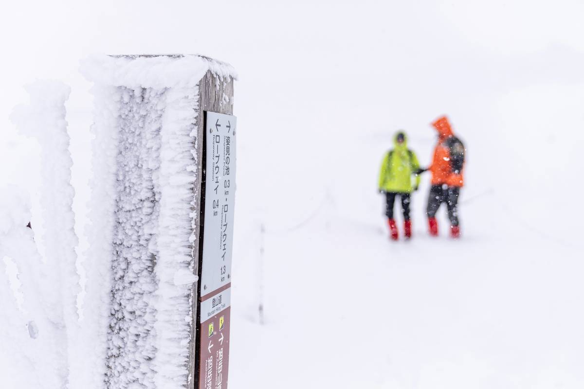 Side-by-side comparison: standard snowshoe vs. snowshoe with microspikes on glare ice surface
