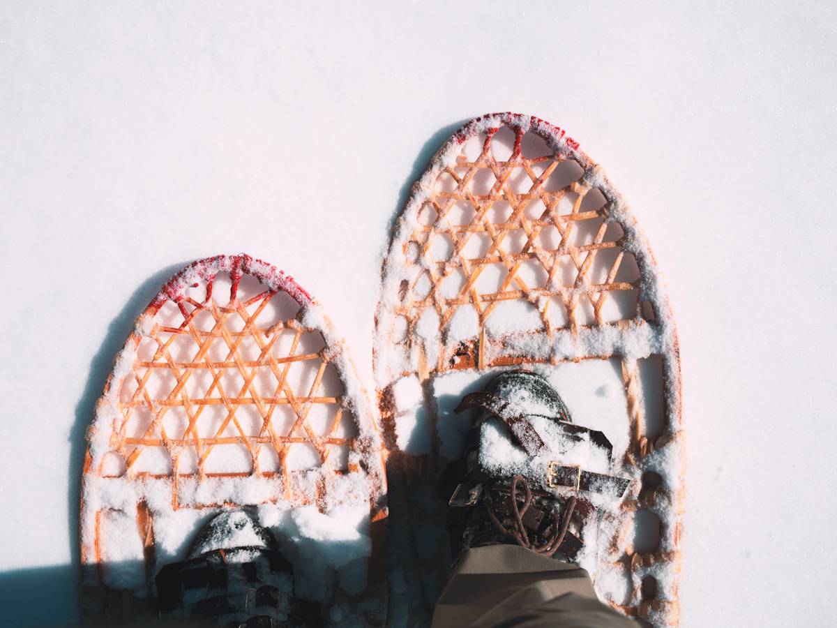 Small group on snowshoes following certified guide through snowy pine forest with mountains in background