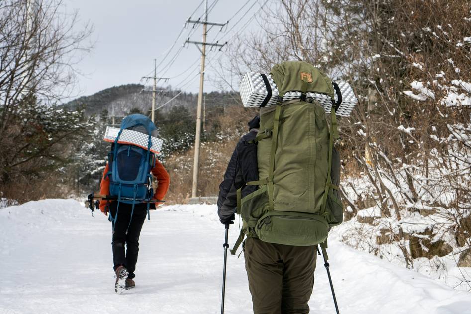 Snowshoers trekking through a snowy pine forest at dusk