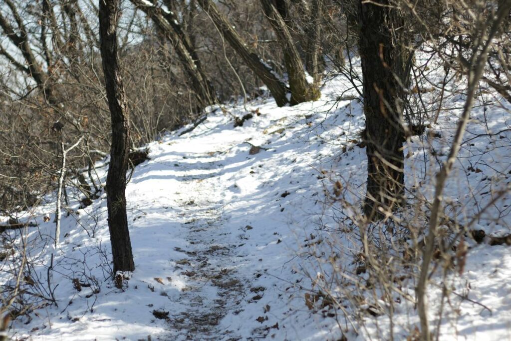 Why Your Icy Trail Hike Sucks (And How to Actually Enjoy Snowshoeing on Frozen Paths)