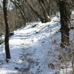 Why Your Icy Trail Hike Sucks (And How to Actually Enjoy Snowshoeing on Frozen Paths)