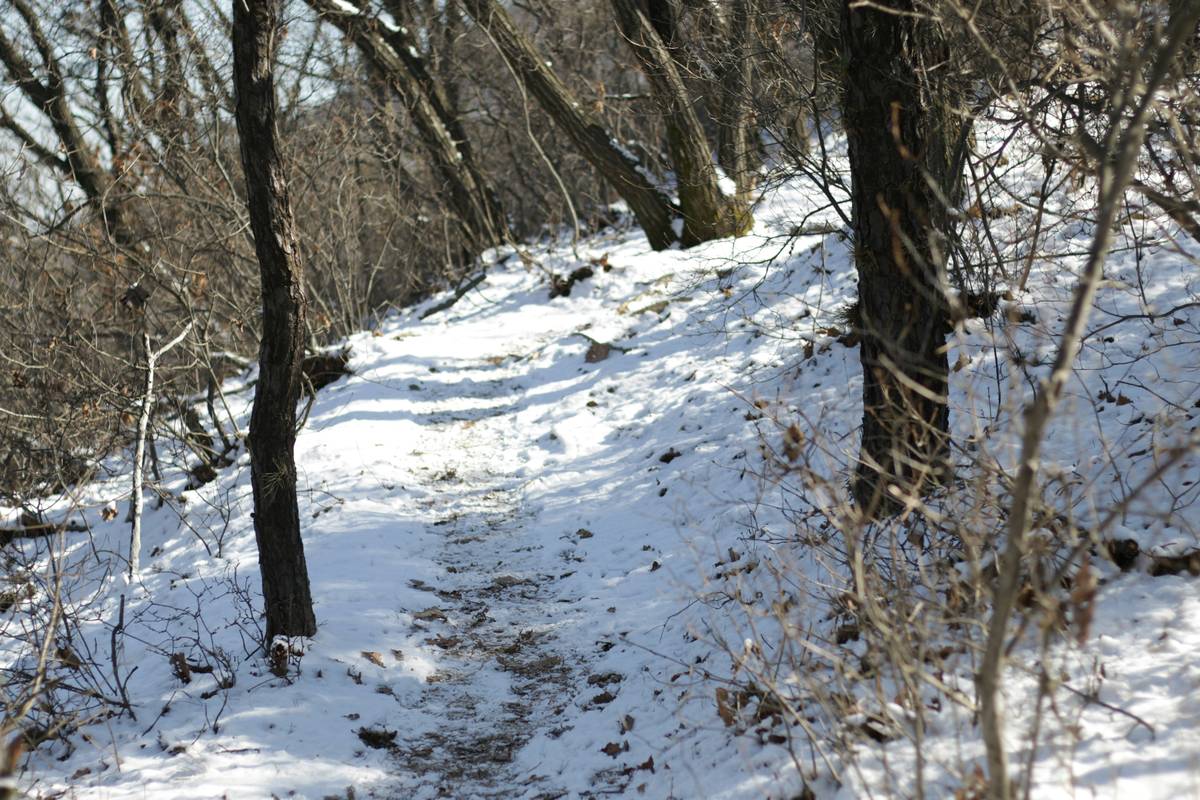 Why Your Icy Trail Hike Sucks (And How to Actually Enjoy Snowshoeing on Frozen Paths)